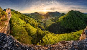 shutterstock_1927482074-1-1-300x174.jpg